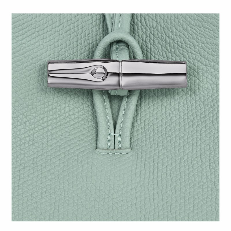 Etui Longchamp Le Roseau Damskie Celadon Polska | 34180HFP282