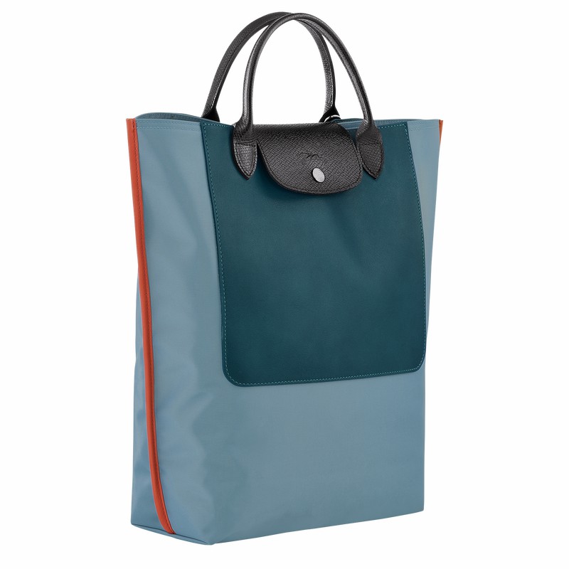 Torby Tote Longchamp Cabas Longchamp M Męskie Niebieskie Polska | 10264093427-