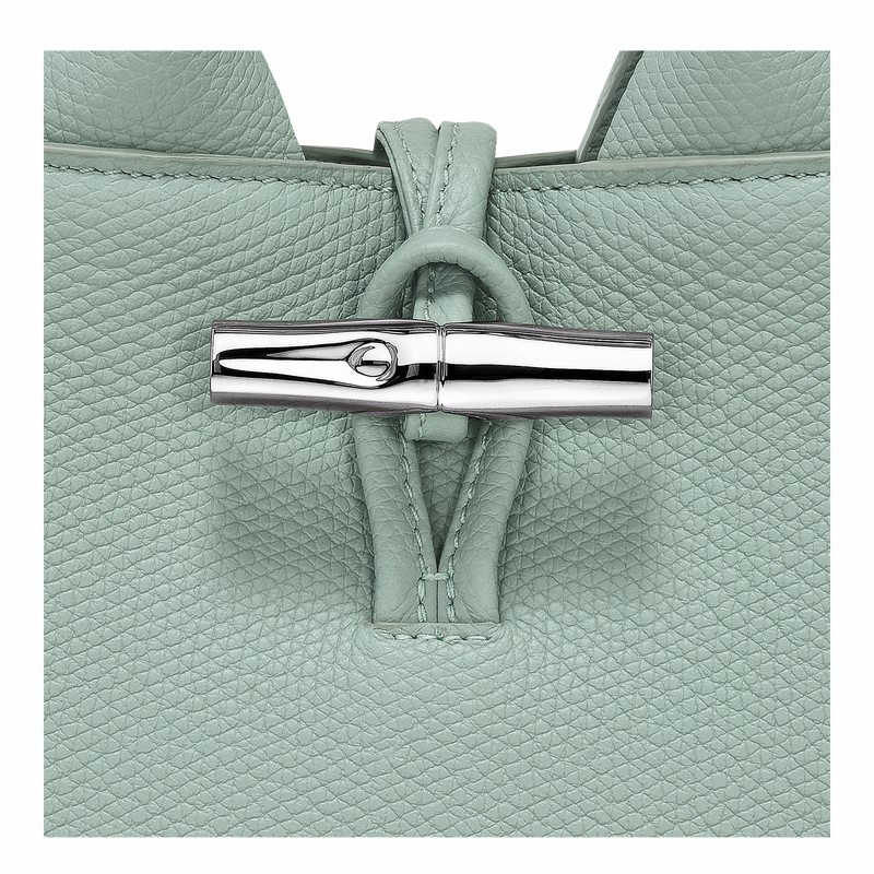 Torebka Longchamp Le Roseau XS Damskie Celadon Polska | 10278HFP282